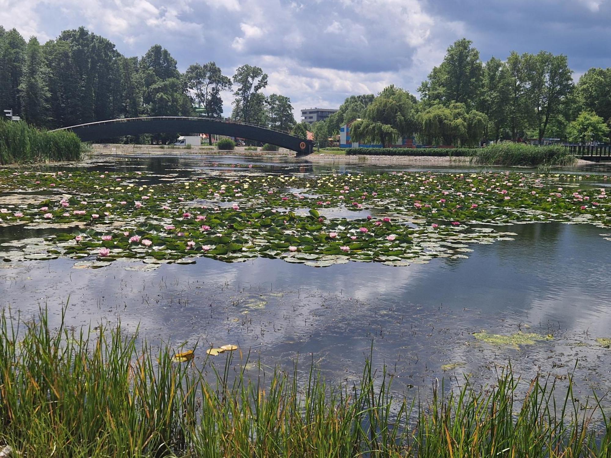 Manna Wellness Apartman Zalakaros Esterno foto